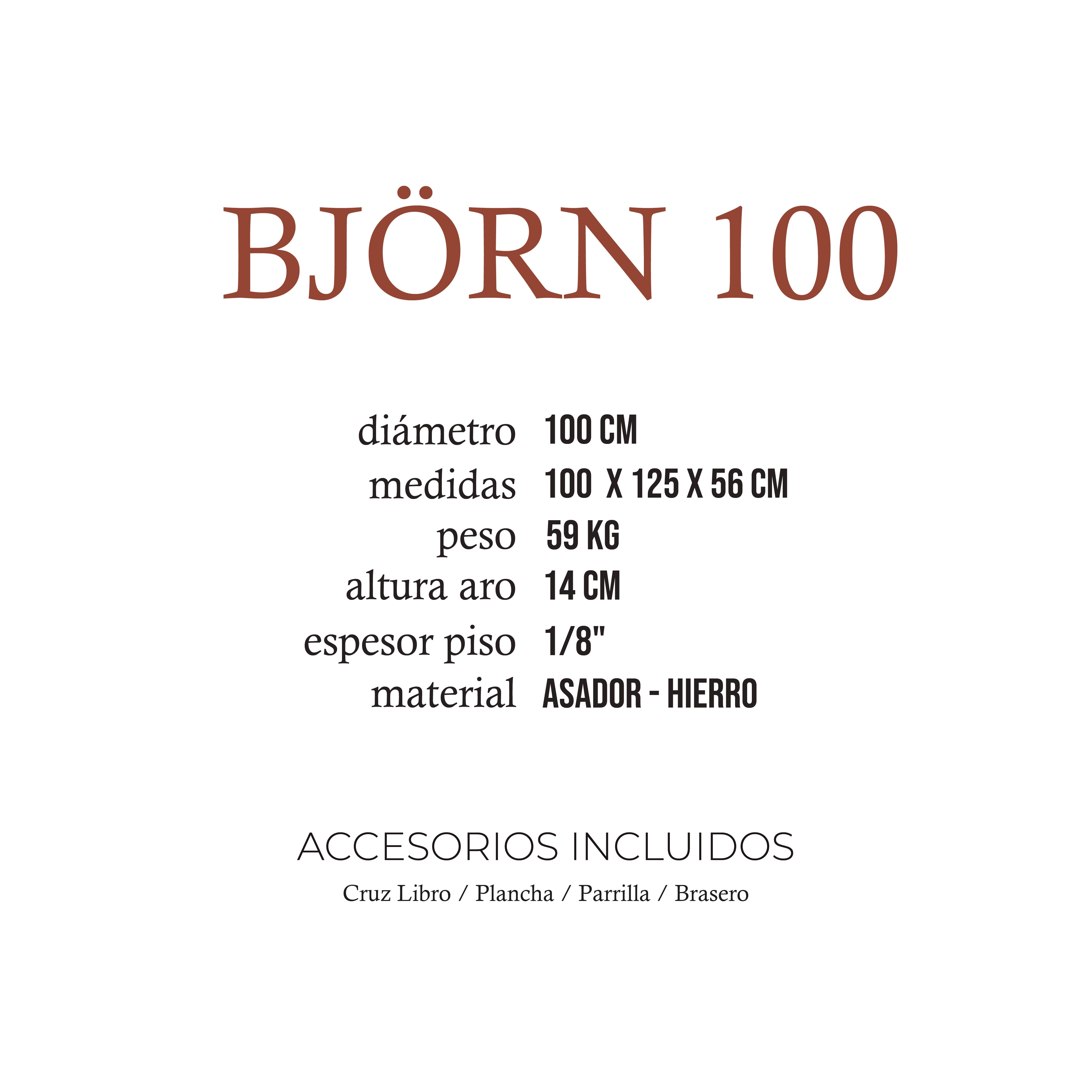 Björn 100